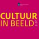 RapportCultuurinBeeld_2017-pdf-1024x724